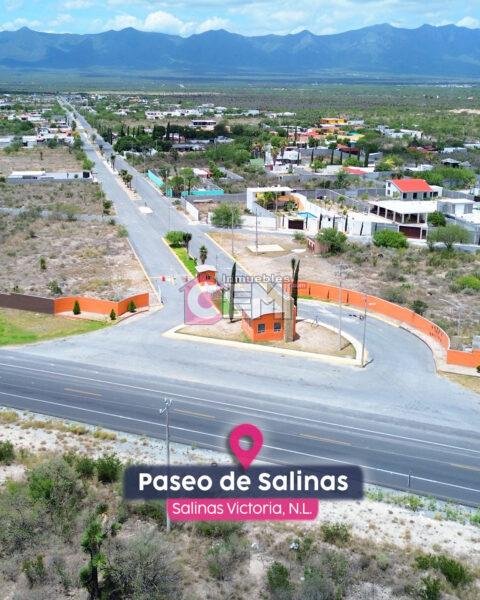 Paseo de Salinas